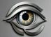 Advanced Oculofacial Surgery